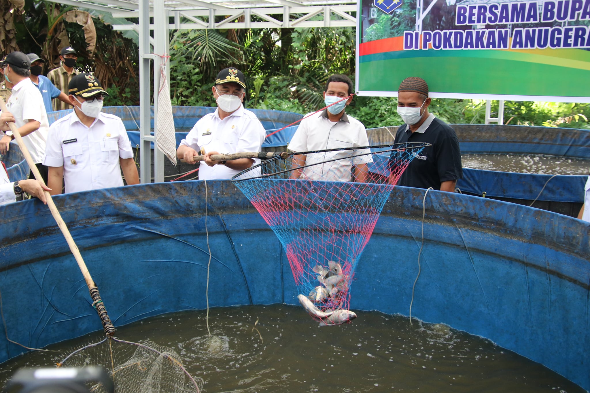 Bupati HSS melanjutkan kegiatannya melakukan panen perdana ikan nila yang dikelola oleh Kelompok Budidaya Ikan (Pokdakan) Anugerah