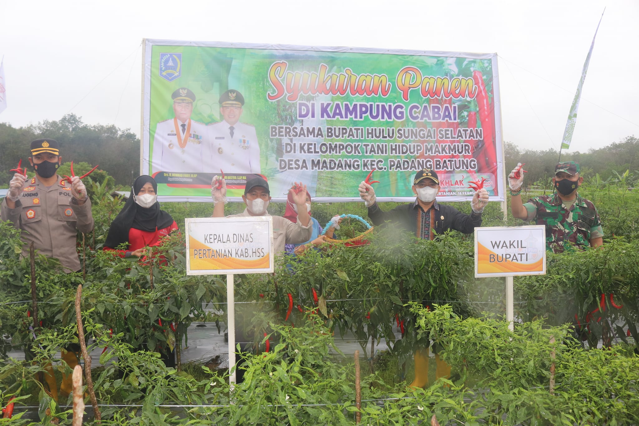 DERAI HUJAN TAK SURUTKAN LANGKAH WABUP HADIRI SYUKURAN PANEN CABAI