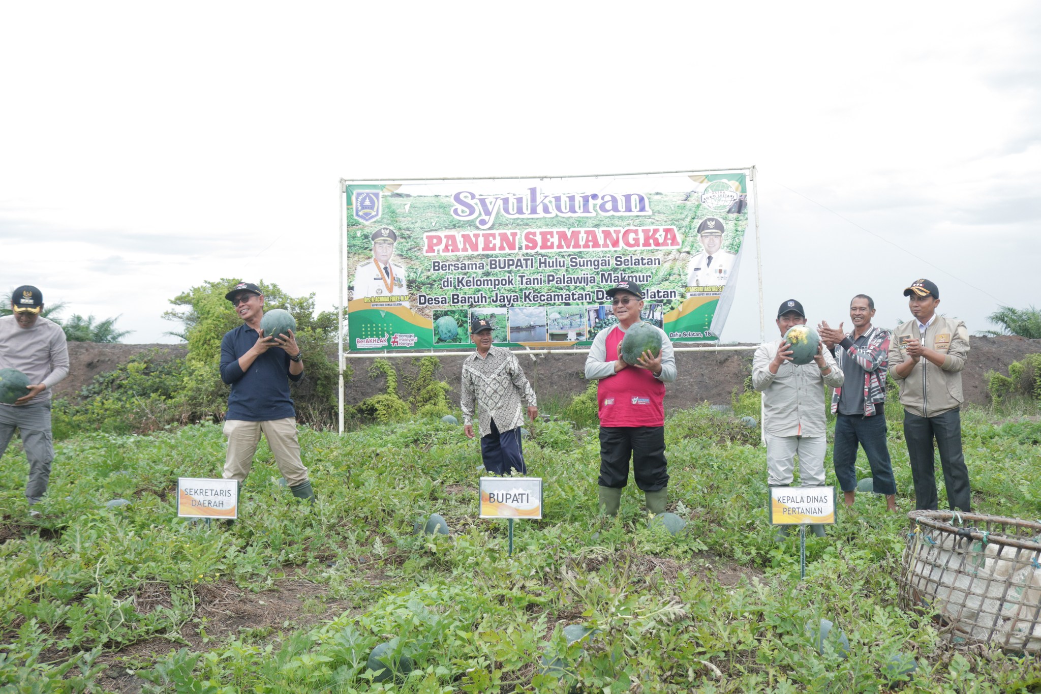HADIRI SYUKURAN PANEN SEMANGKA, BUPATI HSS APRESIASI SEMANGAT PARA KELOMPOK TANI