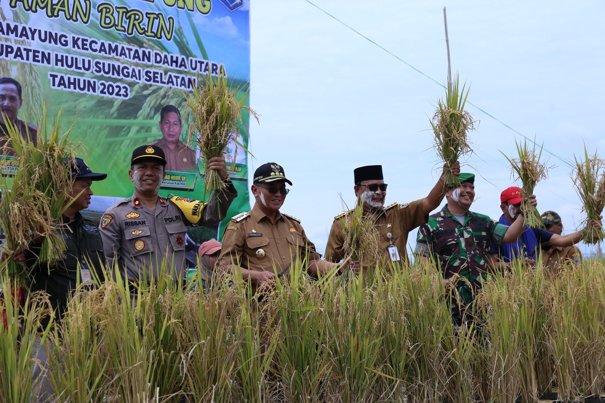 BUPATI HSS BERSAMA GUBERNUR KALSEL PANEN PADI APUNG DI DESA HAMAYUNG