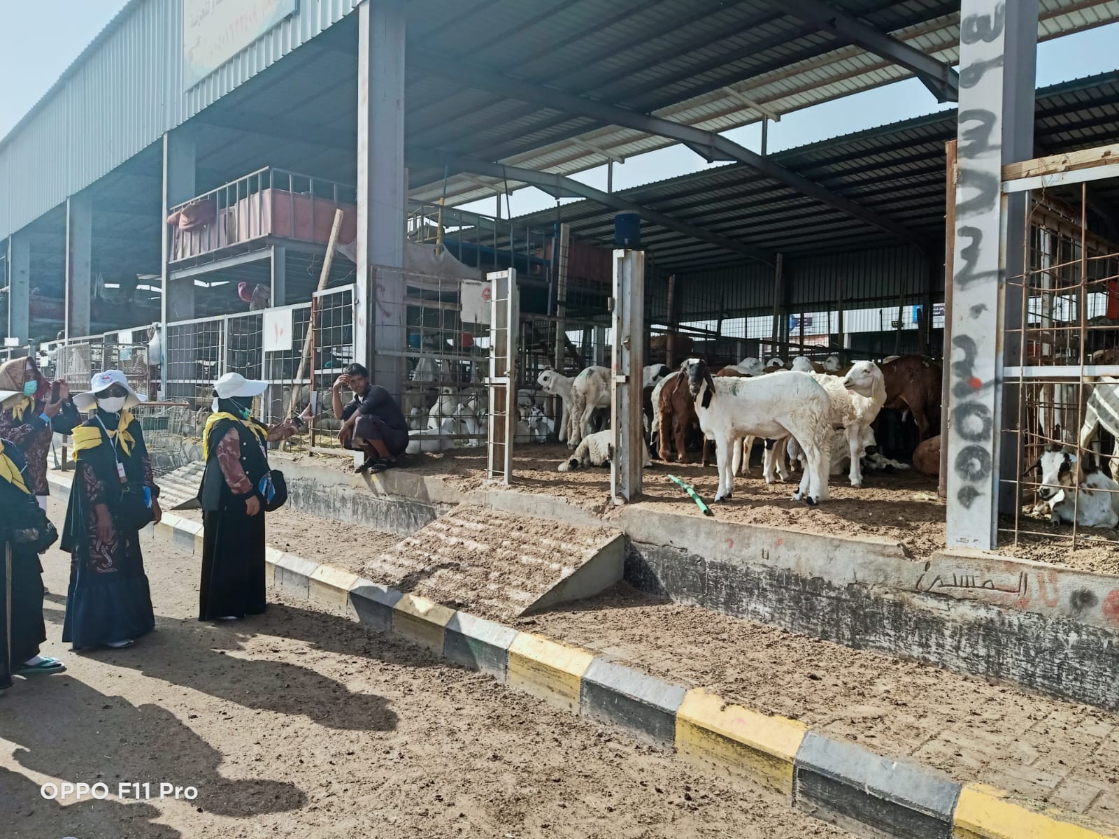 JEMAAH HAJI DARI KAB. HSS MELAKSANAKAN PEMBAYARAN DAM DI JABAL QURBAN