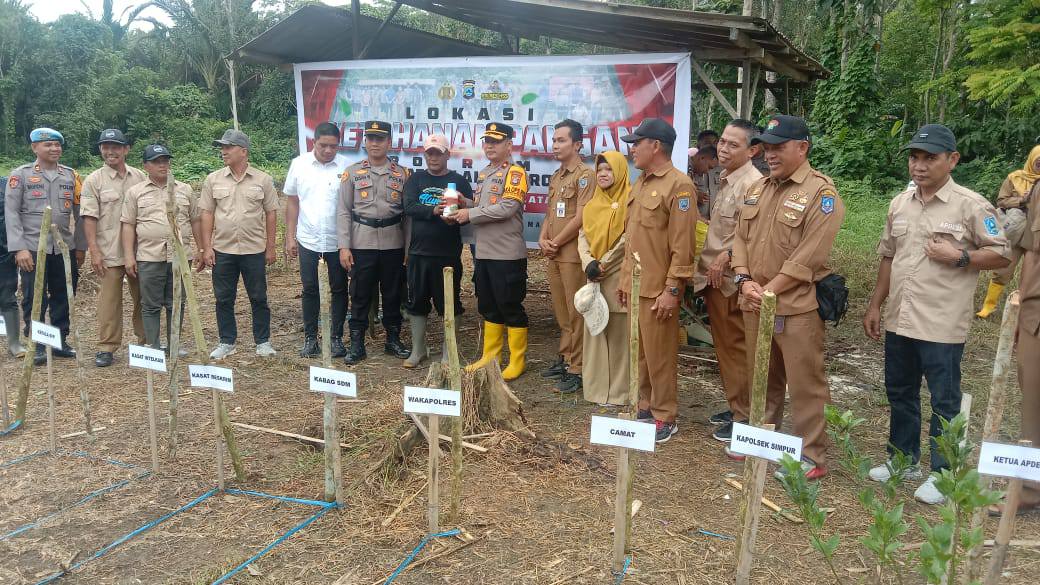 SUKSESKAN SWASEMBADA PANGAN, POLSEK SIMPUR BERSAMA FORKOPIMCAM SIMPUR GELAR PENANAMAN JAGUNG
