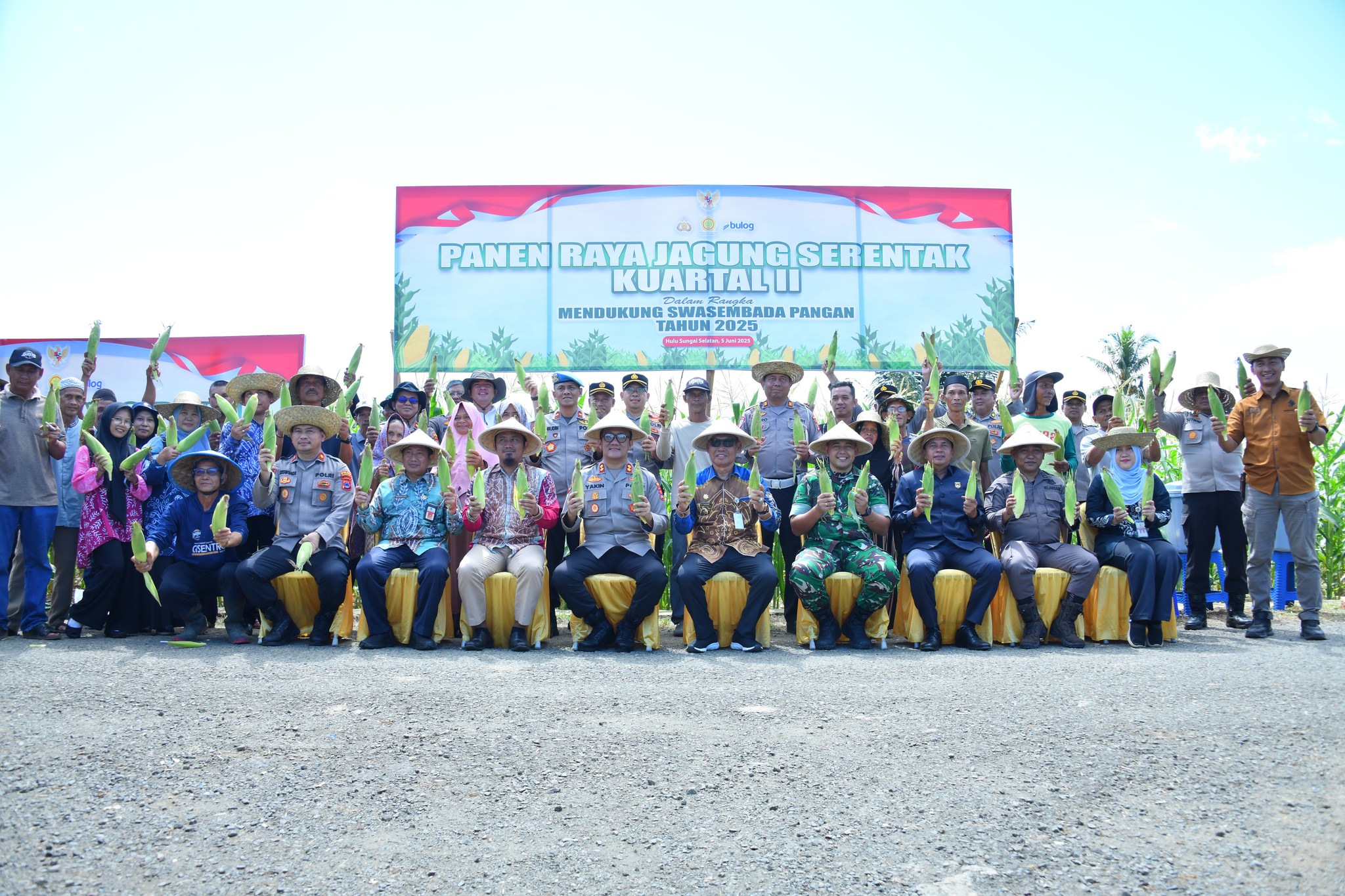 WAKIL BUPATI HSS HADIRI PANEN RAYA JAGUNG SERENTAK KUARTAL II, DUKUNG SWASEMBADA PANGAN 2025