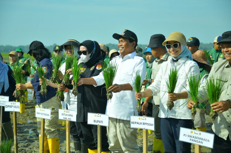 TANAM PADI BERSAMA KEMENTERIAN PERTANIAN, BUPATI HSS TEGASKAN KOMITMEN PERKUAT KETAHANAN PANGAN DAN MODERNISASI PERTANIAN